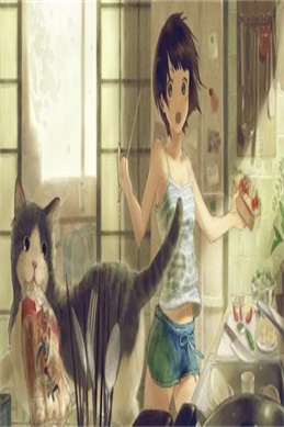 天狐传-原著追更指引
